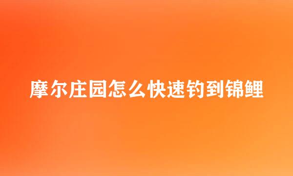 摩尔庄园怎么快速钓到锦鲤