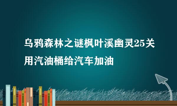 乌鸦森林之谜枫叶溪幽灵25关用汽油桶给汽车加油