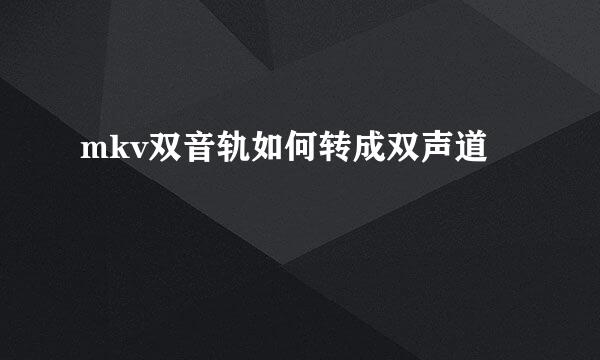 mkv双音轨如何转成双声道