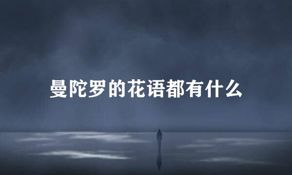 曼陀罗的花语都有什么