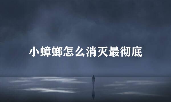 小蟑螂怎么消灭最彻底