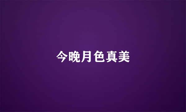 今晚月色真美