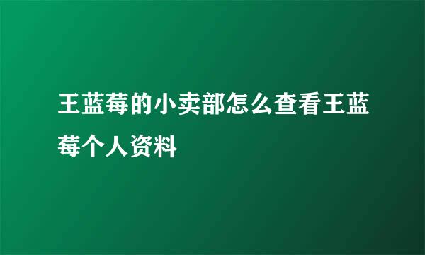 王蓝莓的小卖部怎么查看王蓝莓个人资料