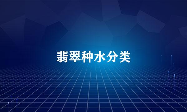 翡翠种水分类