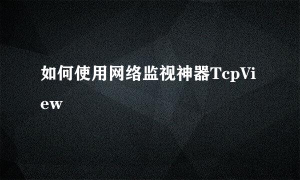 如何使用网络监视神器TcpView