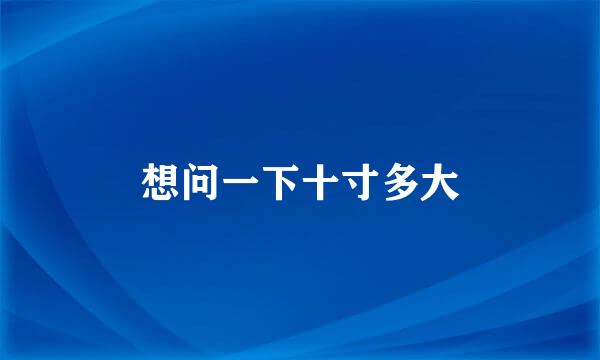 想问一下十寸多大