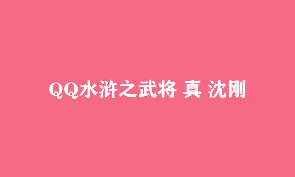 QQ水浒之武将 真 沈刚