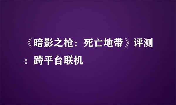 《暗影之枪：死亡地带》评测：跨平台联机