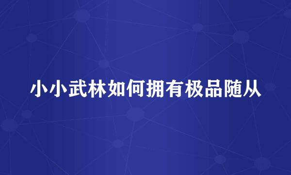 小小武林如何拥有极品随从