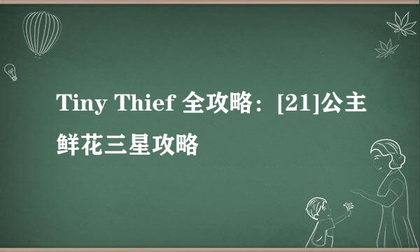 Tiny Thief 全攻略：[21]公主鲜花三星攻略
