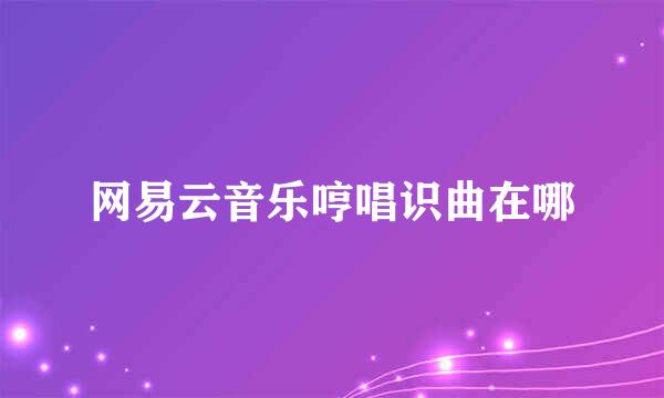 网易云音乐哼唱识曲在哪
