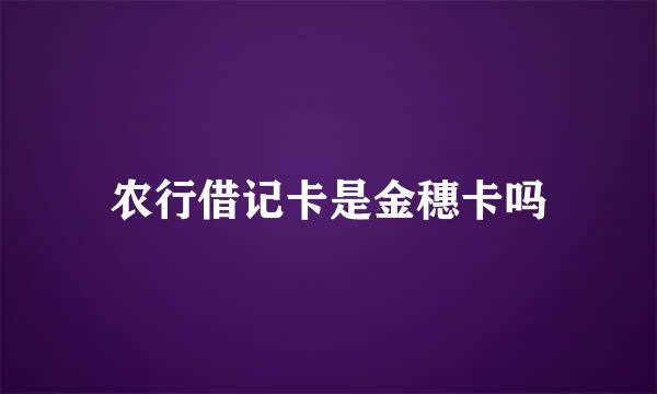 农行借记卡是金穗卡吗