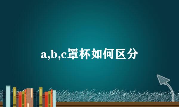 a,b,c罩杯如何区分
