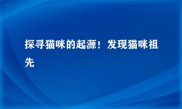 探寻猫咪的起源！发现猫咪祖先