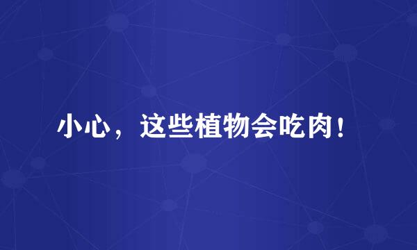 小心，这些植物会吃肉！