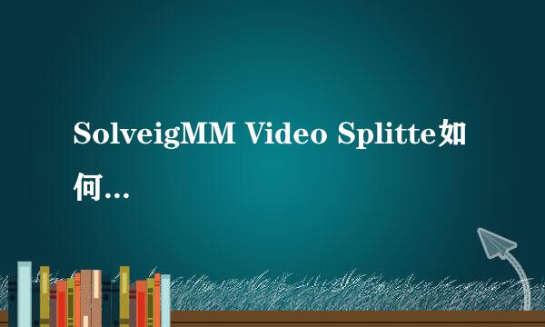 SolveigMM Video Splitte如何使用单间隔模式