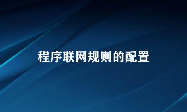 程序联网规则的配置