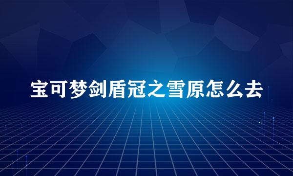 宝可梦剑盾冠之雪原怎么去
