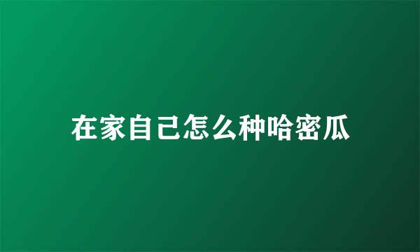 在家自己怎么种哈密瓜