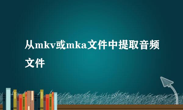 从mkv或mka文件中提取音频文件