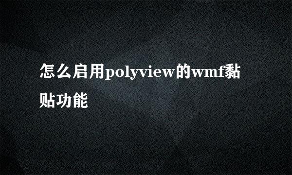 怎么启用polyview的wmf黏贴功能