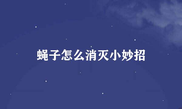 蝇子怎么消灭小妙招