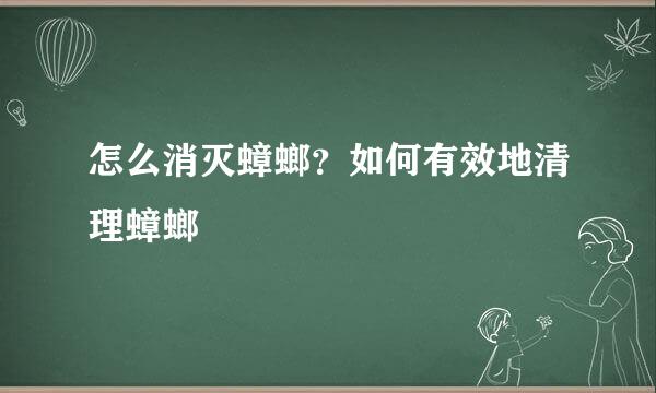 怎么消灭蟑螂？如何有效地清理蟑螂