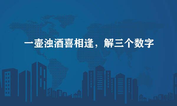 一壶浊酒喜相逢，解三个数字