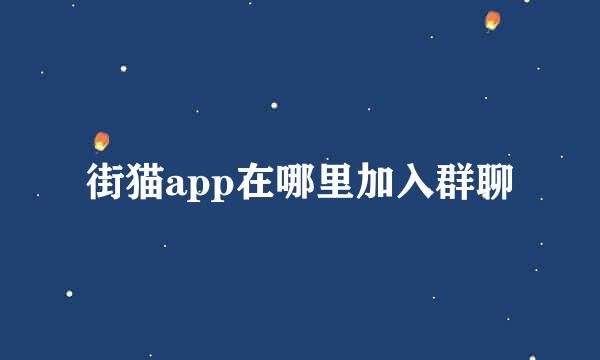 街猫app在哪里加入群聊