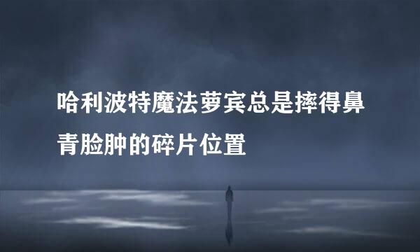 哈利波特魔法萝宾总是摔得鼻青脸肿的碎片位置