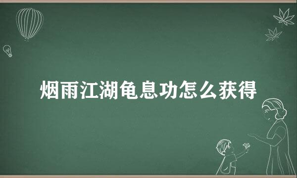 烟雨江湖龟息功怎么获得