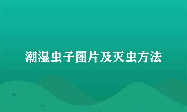 潮湿虫子图片及灭虫方法