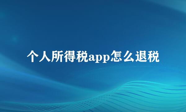 个人所得税app怎么退税