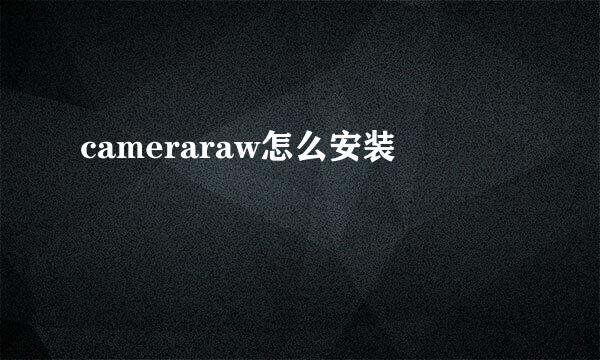 cameraraw怎么安装