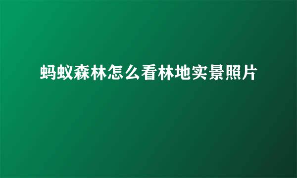 蚂蚁森林怎么看林地实景照片