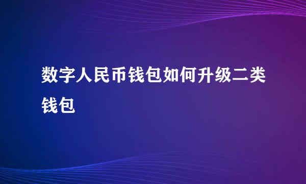 数字人民币钱包如何升级二类钱包