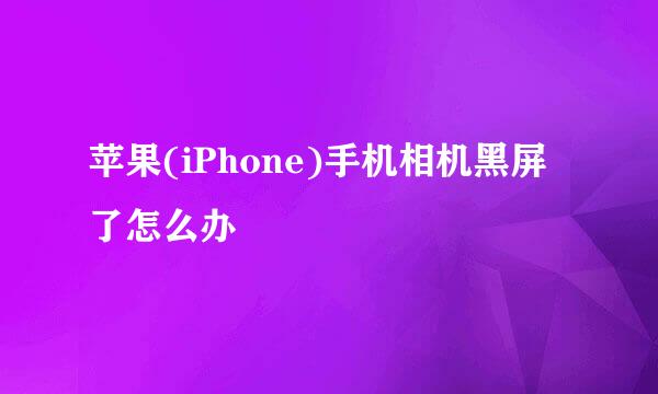 苹果(iPhone)手机相机黑屏了怎么办