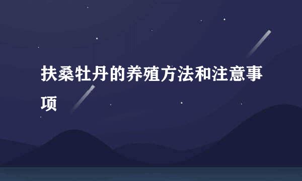扶桑牡丹的养殖方法和注意事项