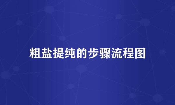 粗盐提纯的步骤流程图