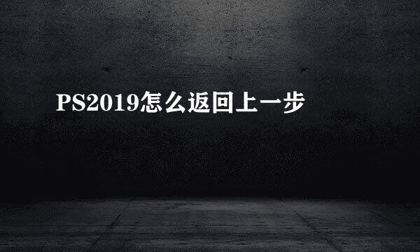 PS2019怎么返回上一步