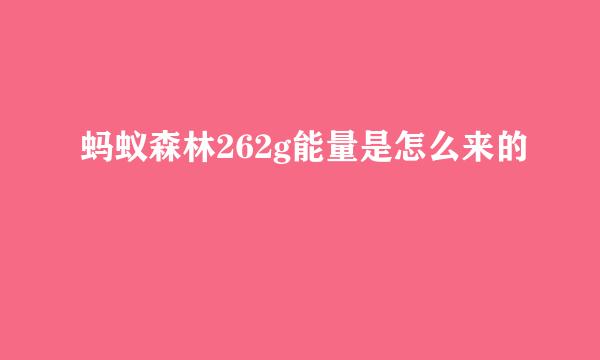蚂蚁森林262g能量是怎么来的