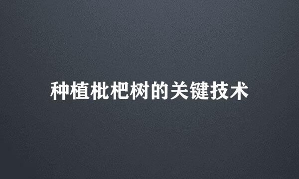 种植枇杷树的关键技术