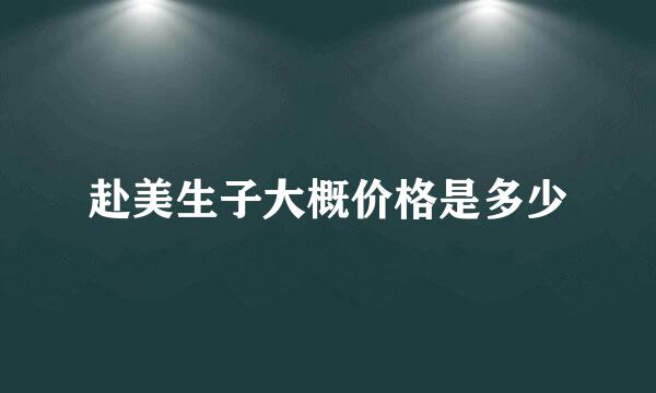 赴美生子大概价格是多少
