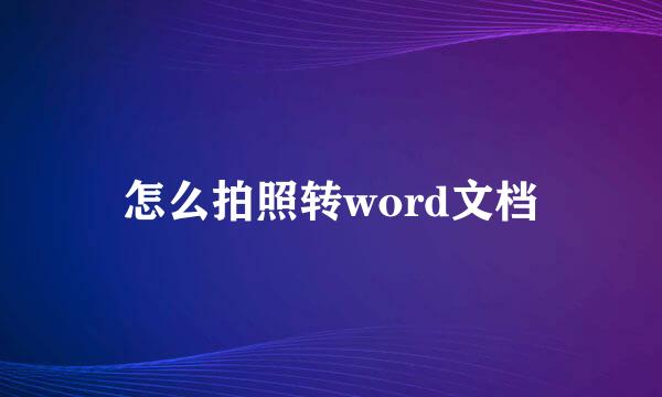 怎么拍照转word文档