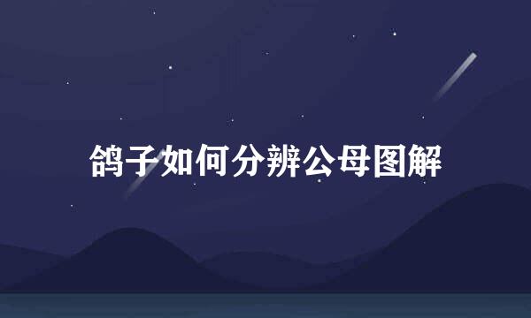 鸽子如何分辨公母图解