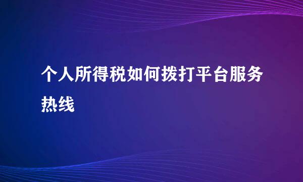 个人所得税如何拨打平台服务热线
