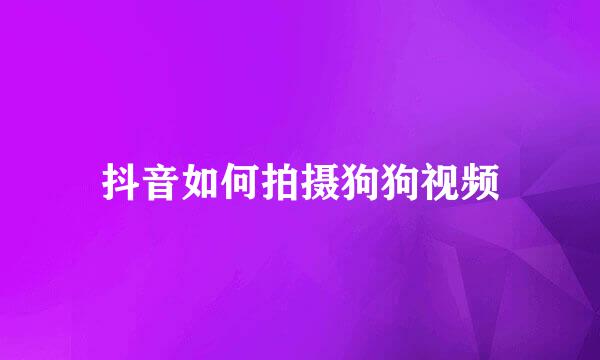 抖音如何拍摄狗狗视频