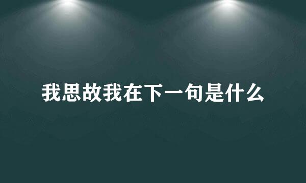 我思故我在下一句是什么
