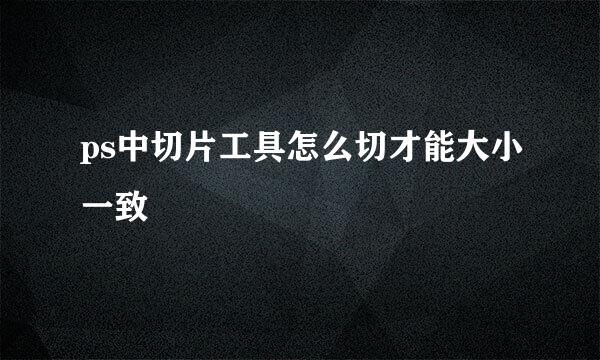 ps中切片工具怎么切才能大小一致