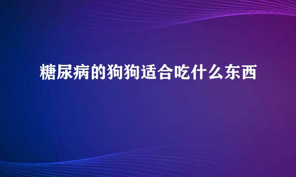 糖尿病的狗狗适合吃什么东西
